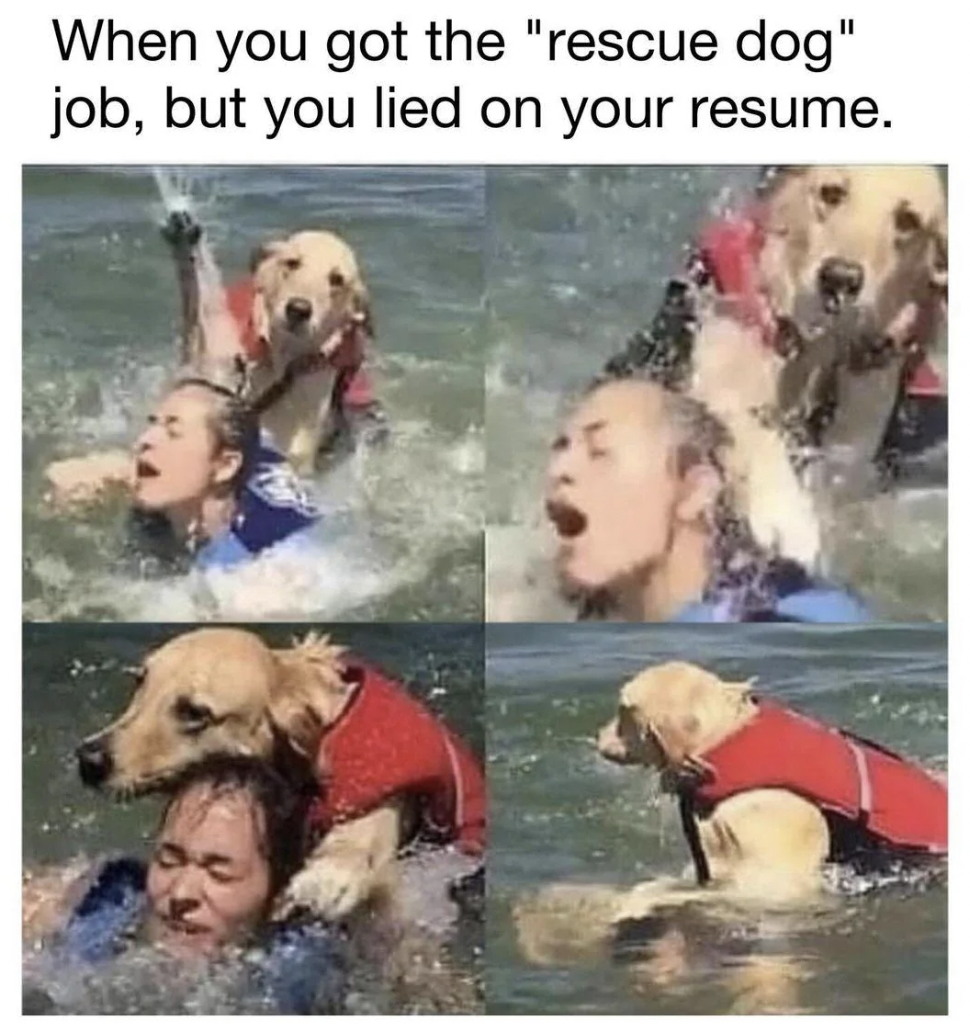 you got the rescue dog job - When you got the "rescue dog" job, but you lied on your resume.